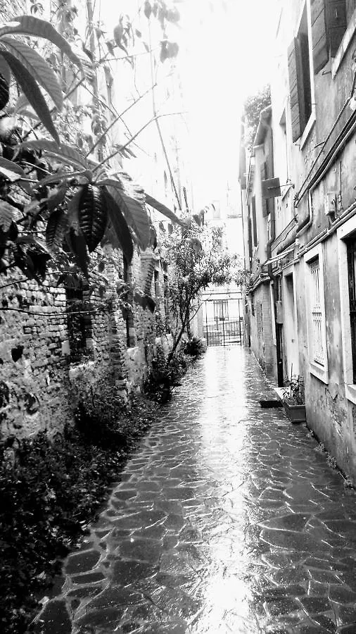 Ca' Tintor Apartment Venice